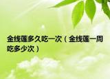 金线莲多久吃一次（金线莲一周吃多少次）