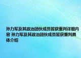 孙力军及其政治团伙成员皆获重判详细内容 孙力军及其政治团伙成员皆获重判具体介绍