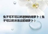兔子可不可以吃新鲜的胡萝卜（兔子可以吃冷冻过的胡萝卜）