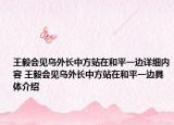 王毅会见乌外长中方站在和平一边详细内容 王毅会见乌外长中方站在和平一边具体介绍