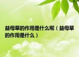 益母草的作用是什么呢（益母草的作用是什么）