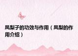 凤梨子的功效与作用（凤梨的作用介绍）