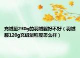 充绒量230g的羽绒服好不好（羽绒服120g充绒量程度怎么样）