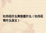 牡丹花什么寓意是什么（牡丹花有什么含义）