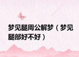 梦见腿周公解梦（梦见腿部好不好）