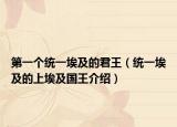 第一个统一埃及的君王（统一埃及的上埃及国王介绍）