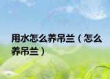 用水怎么养吊兰（怎么养吊兰）