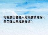 电视剧白色强人分集剧情介绍（白色强人电视剧介绍）