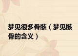 梦见很多骨骸（梦见骸骨的含义）