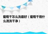 葡萄干怎么洗最好（葡萄干用什么清洗干净）