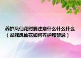 养护凤仙花时要注意什么什么什么（盆栽凤仙花如何养护和禁忌）