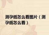 测孕纸怎么看图片（测孕纸怎么看）