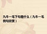 九牛一毛下句是什么（九牛一毛例句欣赏）