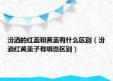 汾酒的红盖和黄盖有什么区别（汾酒红黄盖子有哪些区别）