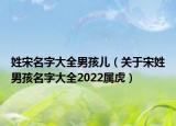 姓宋名字大全男孩儿（关于宋姓男孩名字大全2022属虎）
