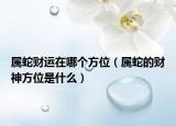 属蛇财运在哪个方位（属蛇的财神方位是什么）