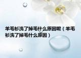 羊毛衫洗了掉毛什么原因呢（羊毛衫洗了掉毛什么原因）