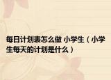 每日计划表怎么做 小学生（小学生每天的计划是什么）