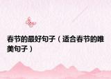 春节的最好句子（适合春节的唯美句子）