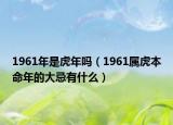1961年是虎年吗（1961属虎本命年的大忌有什么）