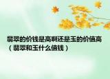 翡翠的价钱是高啊还是玉的价值高（翡翠和玉什么值钱）