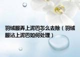 羽绒服弄上泥巴怎么去除（羽绒服沾上泥巴如何处理）