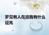 梦见有人在追我有什么征兆