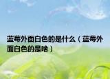 蓝莓外面白色的是什么（蓝莓外面白色的是啥）