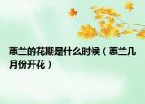 蕙兰的花期是什么时候（蕙兰几月份开花）