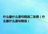 什么像什么造句精选二年级（什么像什么造句精选）