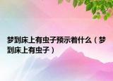 梦到床上有虫子预示着什么（梦到床上有虫子）