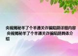 央视揭秘羊了个羊通关诈骗陷阱详细内容 央视揭秘羊了个羊通关诈骗陷阱具体介绍