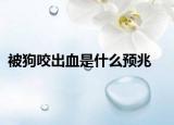 被狗咬出血是什么预兆
