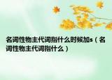 名词性物主代词指什么时候加s（名词性物主代词指什么）