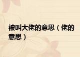 被叫大佬的意思（佬的意思）