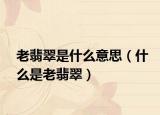 老翡翠是什么意思（什么是老翡翠）