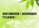 富贵竹要如何养（如何养殖富贵竹以及禁忌）