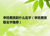 李姓男孩起什么名字（李姓男孩取名字推荐）