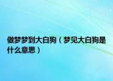 做梦梦到大白狗（梦见大白狗是什么意思）