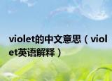 violet的中文意思（violet英语解释）