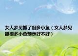 女人梦见抓了很多小鱼（女人梦见抓很多小鱼预示好不好）