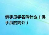 佛手瓜学名叫什么（佛手瓜的简介）