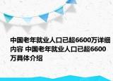中国老年就业人口已超6600万详细内容 中国老年就业人口已超6600万具体介绍