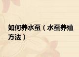 如何养水虿（水虿养殖方法）
