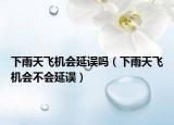 下雨天飞机会延误吗（下雨天飞机会不会延误）
