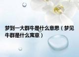 梦到一大群牛是什么意思（梦见牛群是什么寓意）