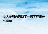 女人梦到自己掉了一颗下牙是什么意思