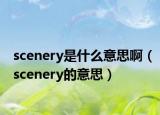 scenery是什么意思啊（scenery的意思）