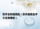快手名称搞笑的（快手搞笑名字大全有哪些）