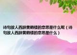 诗句故人西辞黄鹤楼的意思是什么呢（诗句故人西辞黄鹤楼的意思是什么）